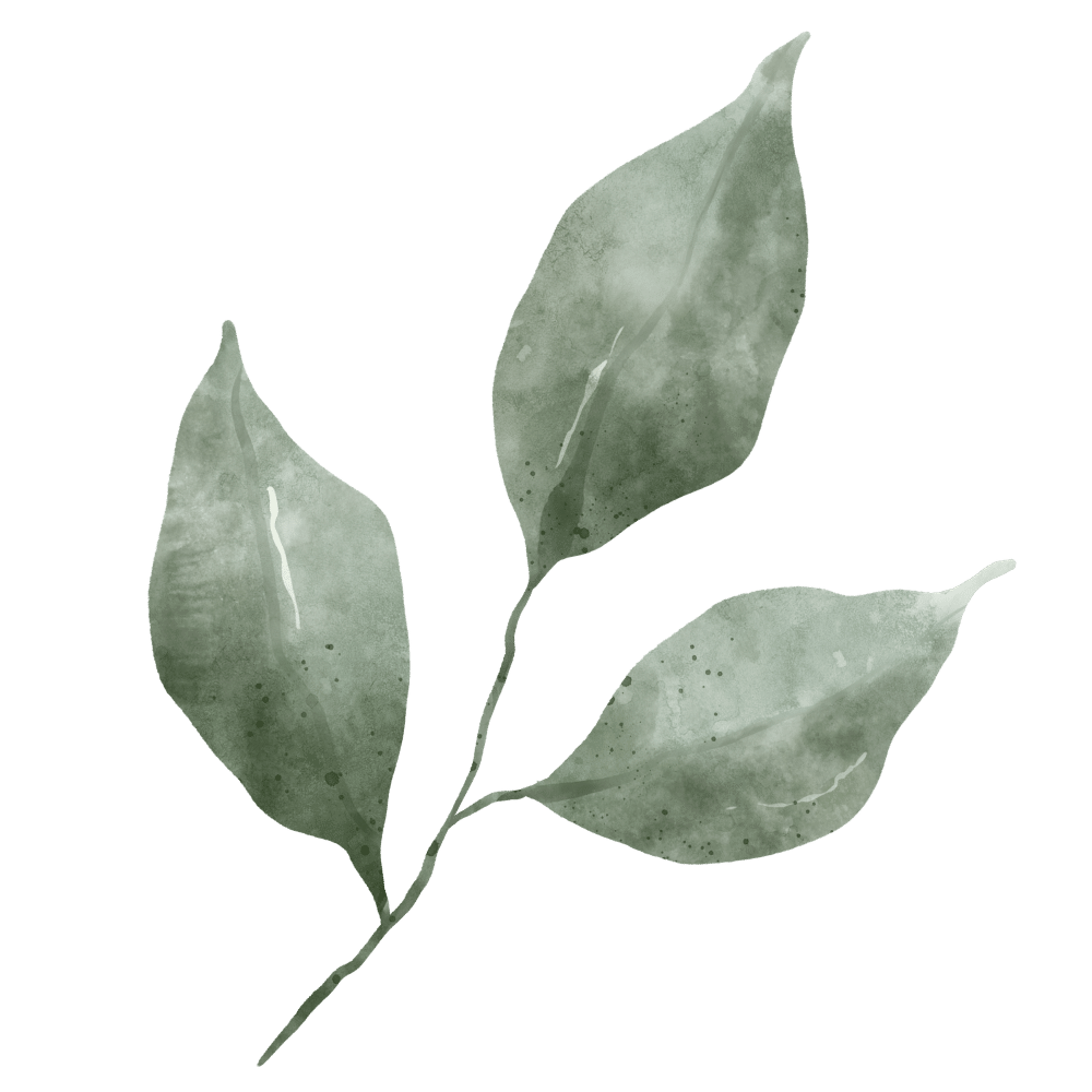 Nei Therapie Soeren Praktijk